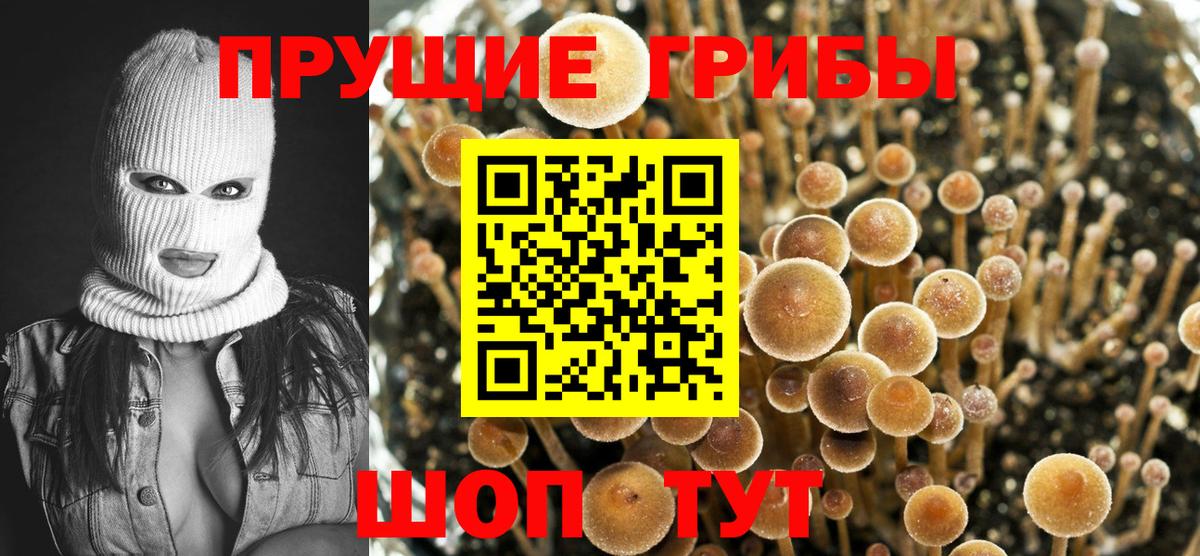 Галлюциногенные грибы мицелий Каменка