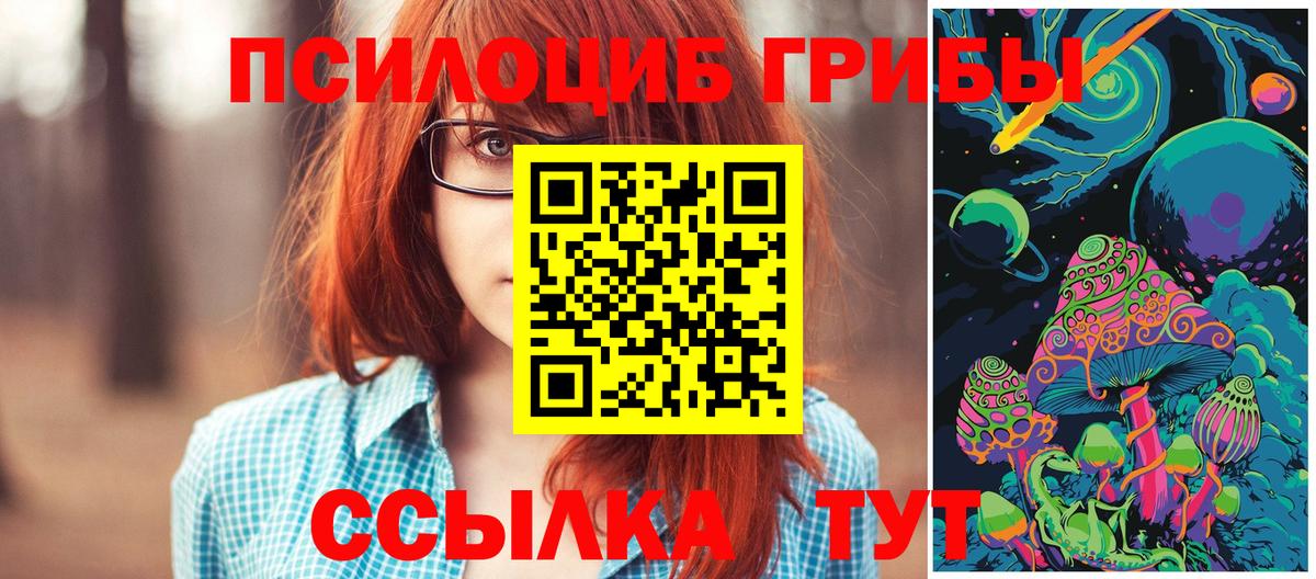 Псилоцибиновые грибы Magic Shrooms  Вход с VPN  Каменка 